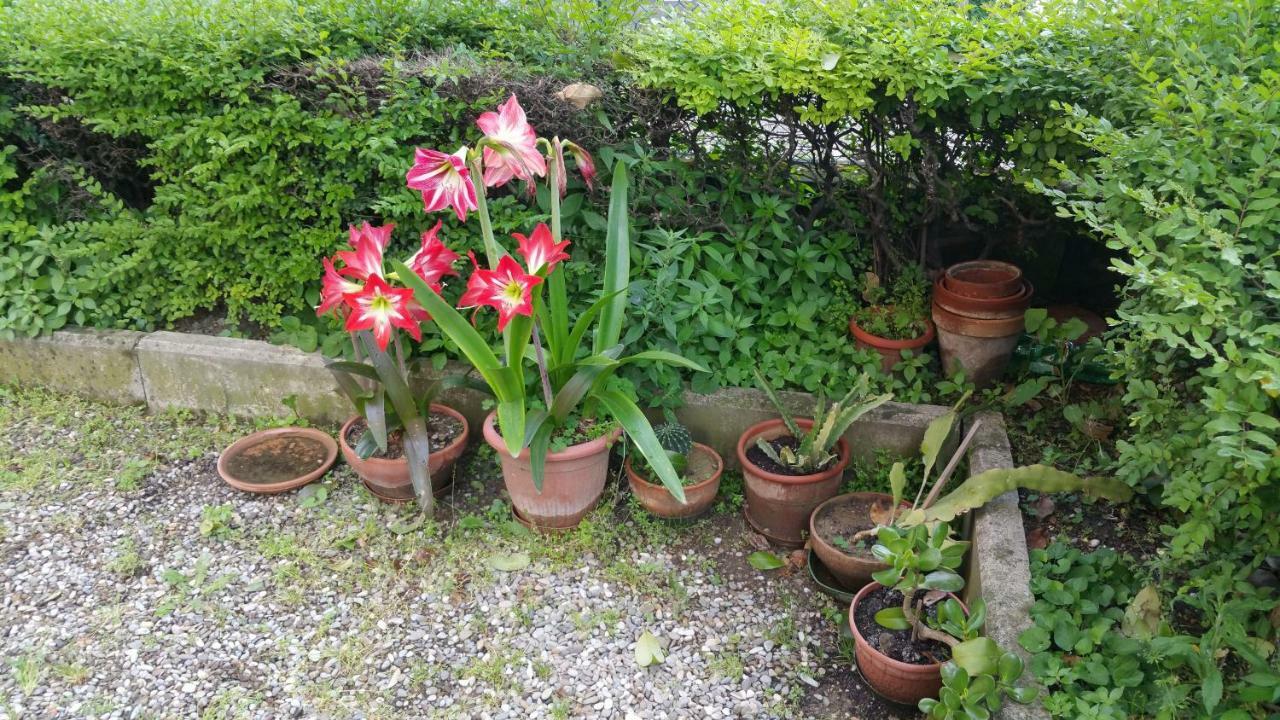 Aduepassidallafiera Bolonia Exterior foto